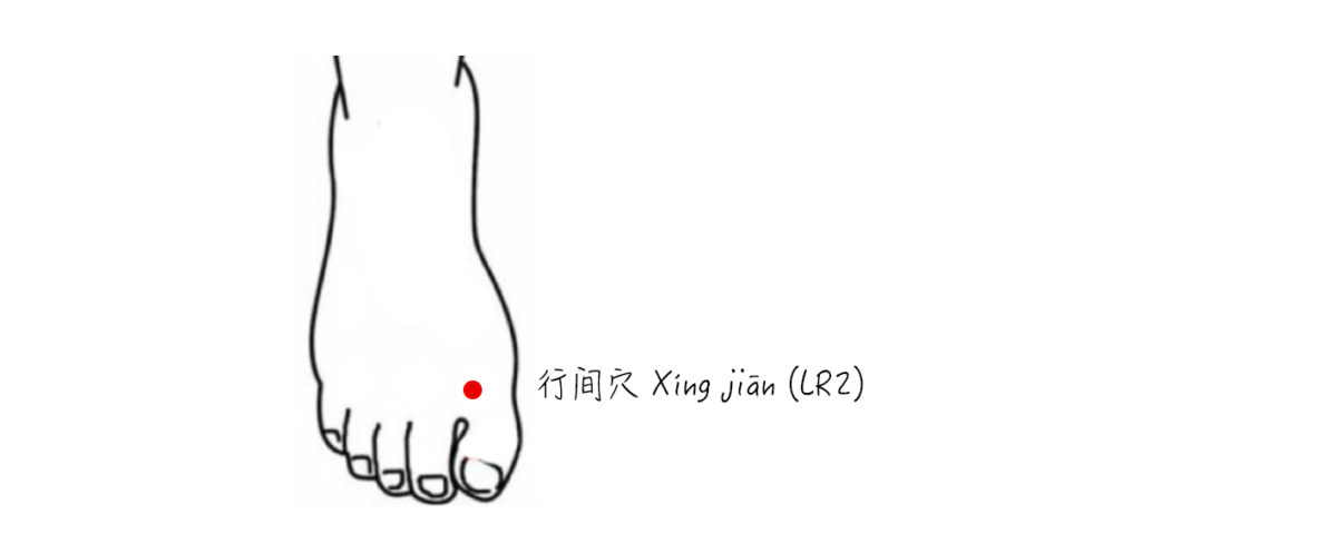 DIY 保健穴位 - SIN KANG TCM