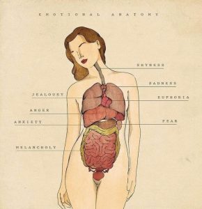 TCM emotional anatomy